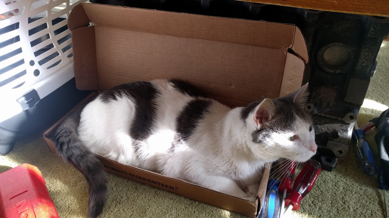 Tekton wrench box. Verdict: 6/10